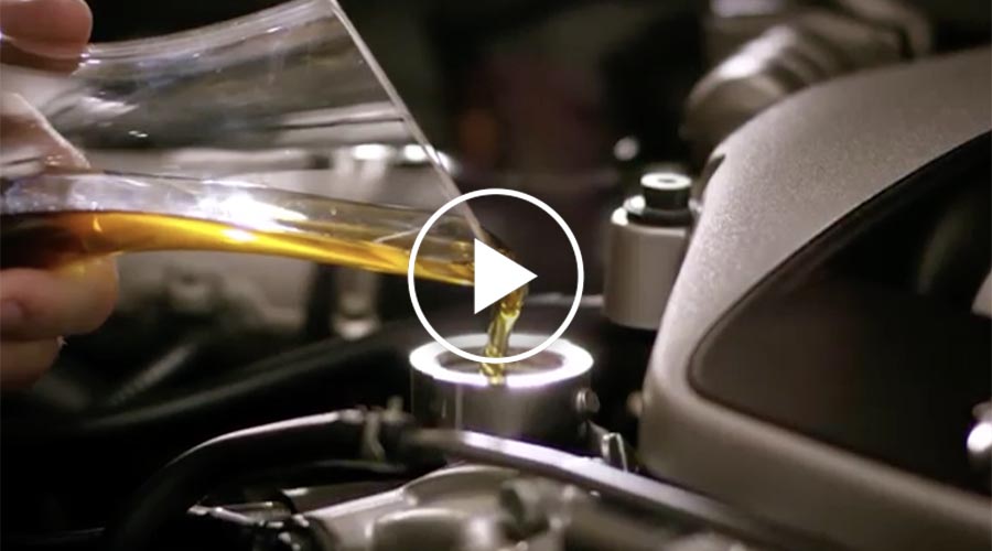 Nulon Oil